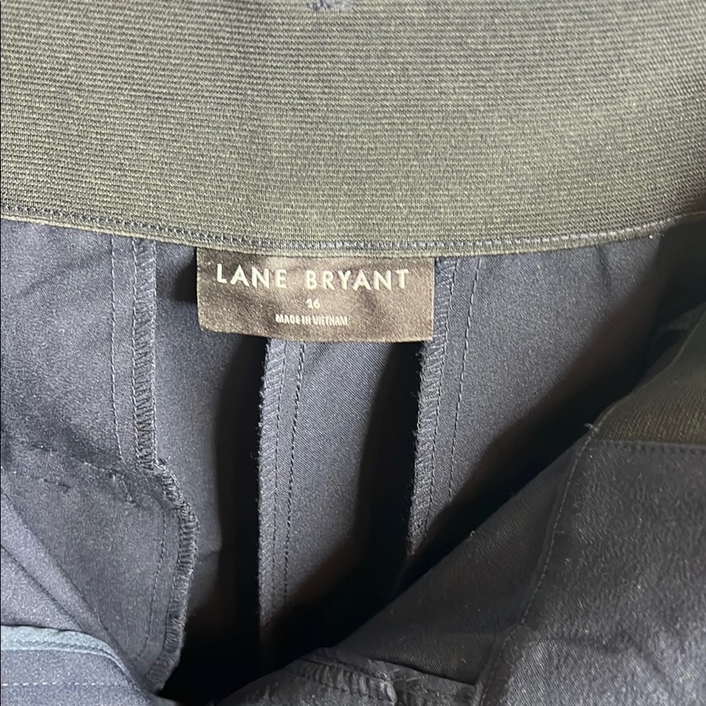 Lane Bryant professional work Pants - Picture 2 of 4